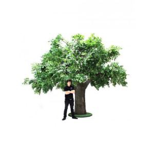 Изкуствено древно дъбово дърво