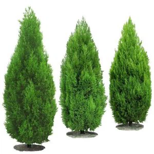 Изкуствени кедър стил Topiary дърво кипарис