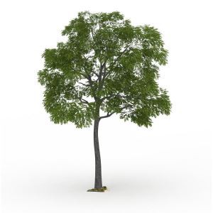 Изкуствено дърво пагода