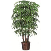 Изкуствен Rhapis Palm