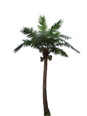 Изкуствени канарче дата палмово дърво